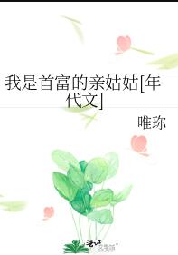 我是首富的親姑姑[年代文](唯珎)全文免費閱讀最新章節 - 178小說網