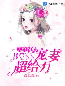 天價閃婚：BOSS寵妻超給力