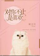 對你不止是喜歡小說(陌言川)全文免費閱讀最新章節 - 178小說網